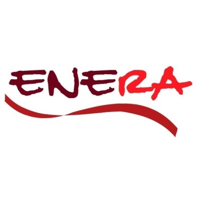 Enera Healthcare Consulting's Logo