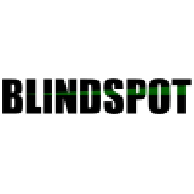 Blindspot Security's Logo