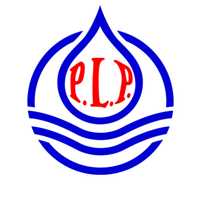 PLP SYSTEMS's Logo