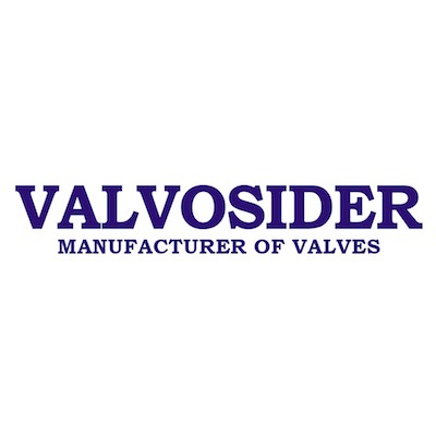 Valvosider srl's Logo