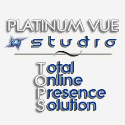 Platinum Vue Studio's Logo