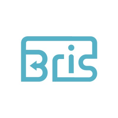 BRIS Consulting's Logo