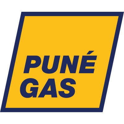 Pune Gas's Logo