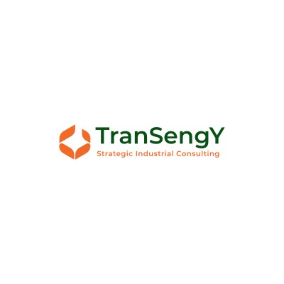 Transengy's Logo