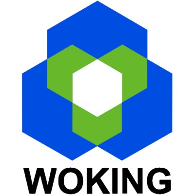 WOKING ENVIRONMENTAL's Logo