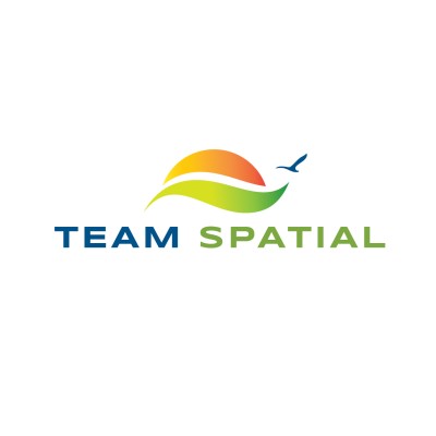 Team Spatial's Logo