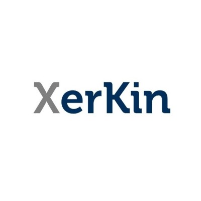 XerKin - Design your Imagination's Logo