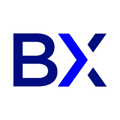 BullMetrix's Logo