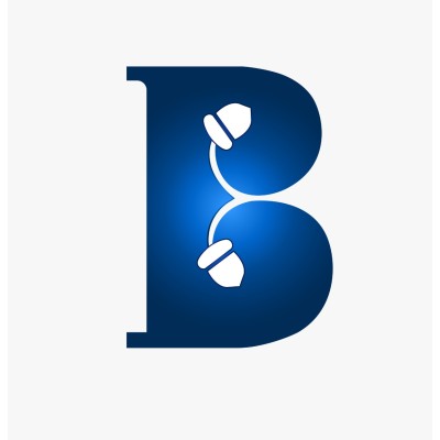 Brandingnuts's Logo