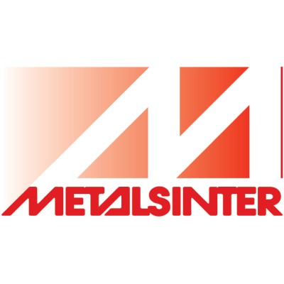 Metalsinter S.r.l.'s Logo