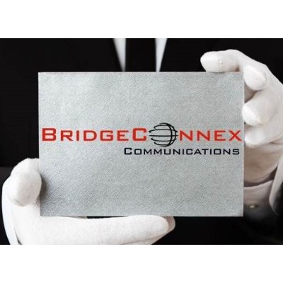 BridgeConnex's Logo