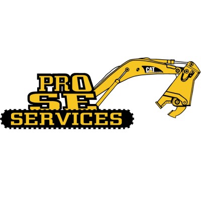 Pro SE Services Inc.'s Logo