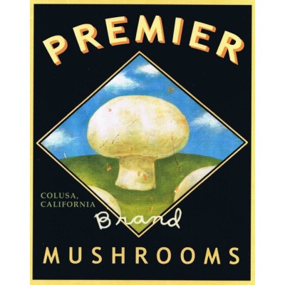 Premier Mushrooms Inc.'s Logo