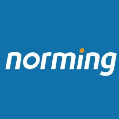 Norming Software's Logo