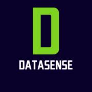 Datasense's Logo