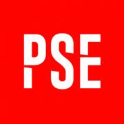 PSE Data Security's Logo