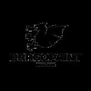 DRAGOPAINT S.A.'s Logo