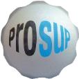 PROSUP's Logo