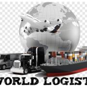 GO WORLD LOGISTICS's Logo