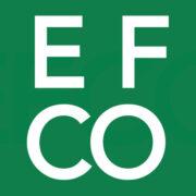 EFCO Electronics GmbH's Logo