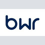 BWR Motorsports GmbH's Logo