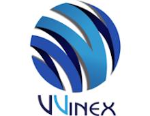 VVInEx Group's Logo