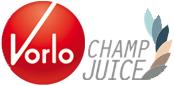 VORLO GmbH's Logo