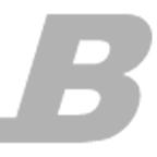 Björn Beielstein's Logo