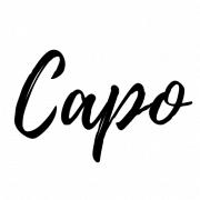 Capo Transport Limited's Logo