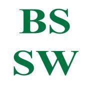 BS SteelWorks GmbH - BSSW's Logo