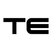 TE Designz's Logo