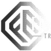 Fleetmann Transporte GmbH's Logo