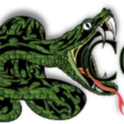 Cobra Customs's Logo