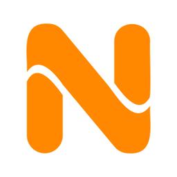 NETIC's Logo