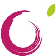 BerryBI's Logo