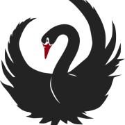 Black Swans Exist's Logo