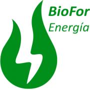 BIOFOR ENERGIA SL's Logo