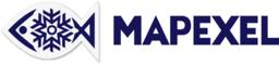 Mapexel's Logo