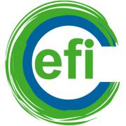 Efienergy Projects's Logo