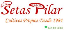 Setas Pilar's Logo