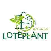 LOTEPLANT SL's Logo