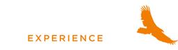 Zenith Experience's Logo