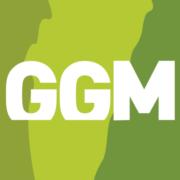 GARCIA GONZALO MADERAS SA's Logo