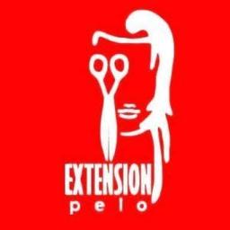 Extensiones Canada's Logo