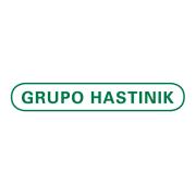 HASTINIK SA's Logo