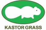 KastorGrass's Logo