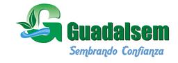 Guadalsem's Logo