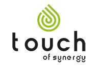 Touch Of Synergy's Logo