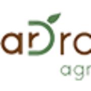 Singular Drone Agrotech's Logo