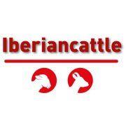 Iberian Cattle's Logo